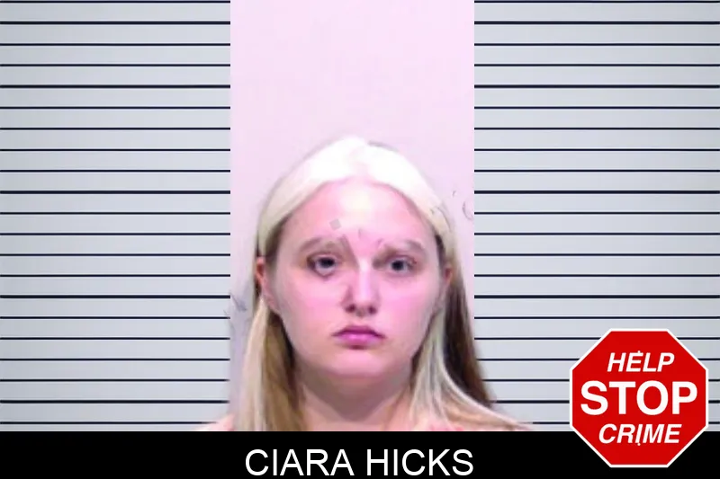 Ciara Hicks mugshot – Bartow County , Georgia Ciara Hicks mugshot