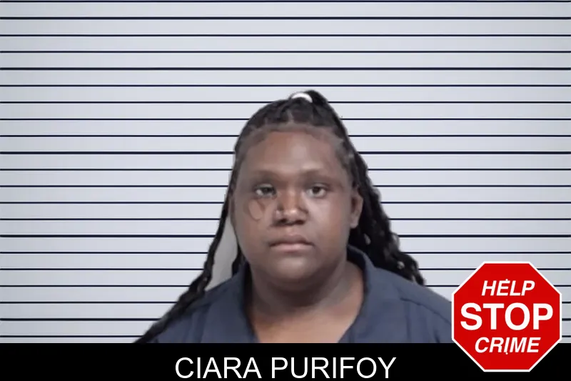Ciara Purifoy mugshot – Lowndes County , Georgia Ciara Purifoy mugshot