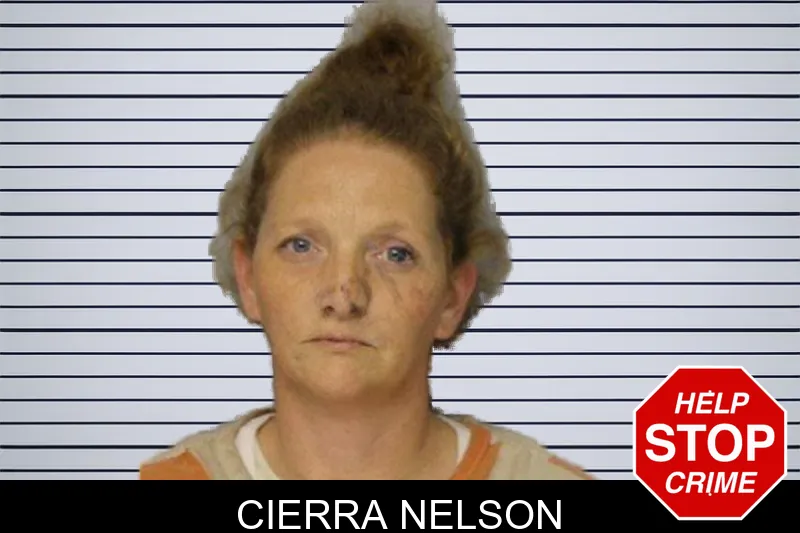 Cierra Nelson mugshot