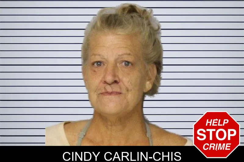 Cindy Carlin-Chis mugshot – Hall County , Georgia Cindy Carlin-Chis mugshot