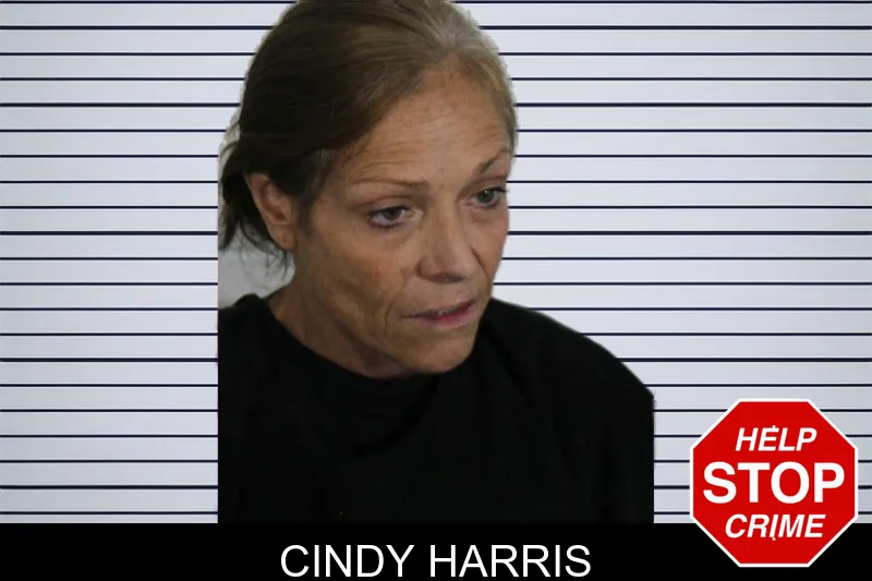 Cindy Harris mugshot