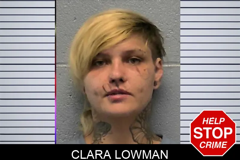 Clara Lowman mugshot