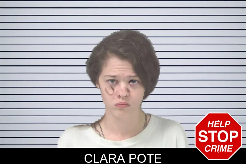 Clara Pote mugshot – Douglas County , Georgia Clara Pote mugshot