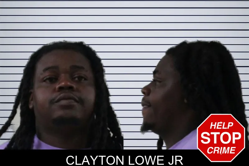 Clayton Lowe Jr mugshot – Houston County , Georgia Clayton Lowe Jr mugshot