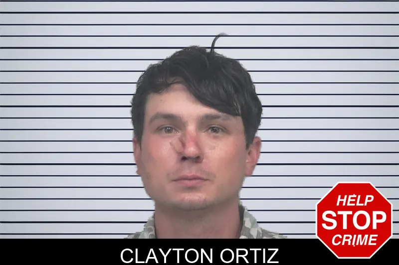 Clayton Ortiz mugshot – Gwinnett County , Georgia Clayton Ortiz mugshot