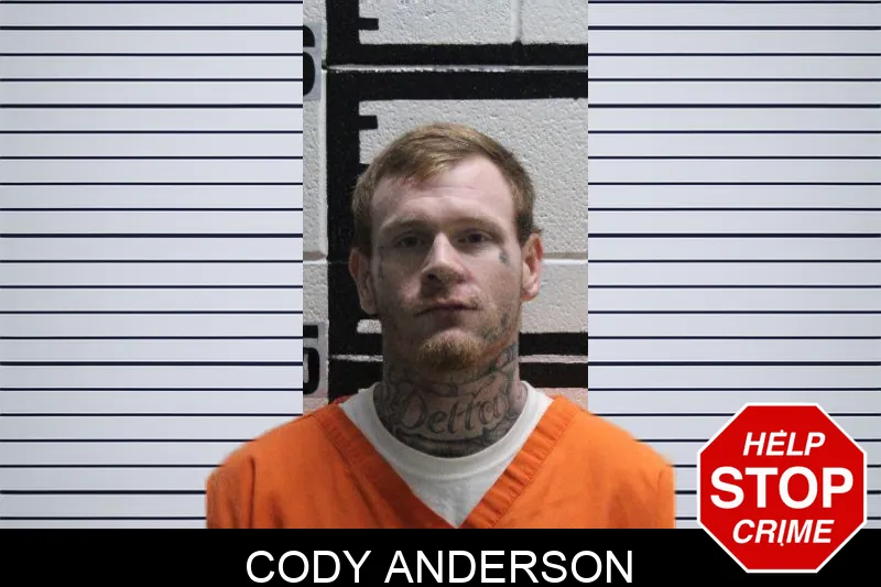 Cody Anderson mugshot