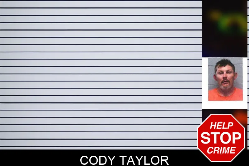 Cody Taylor mugshot