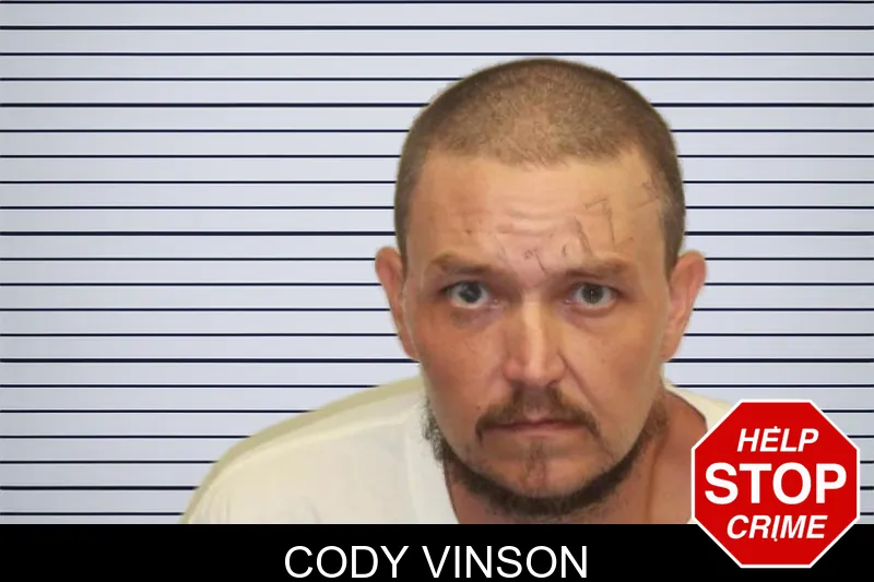 Cody Vinson mugshot