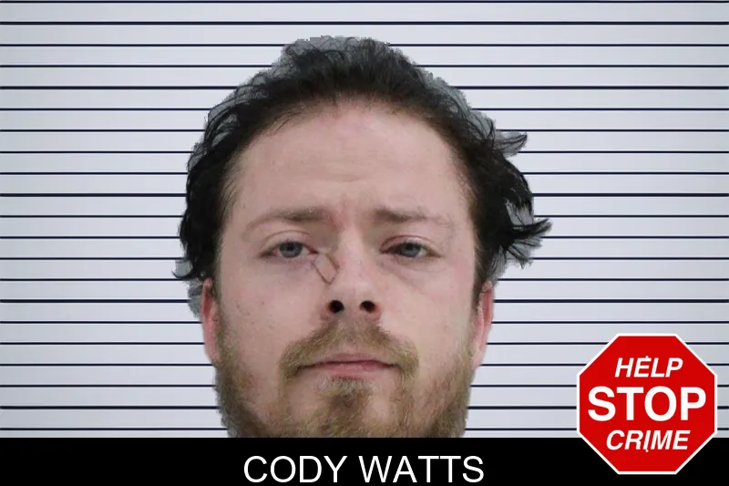 Cody Watts mugshot