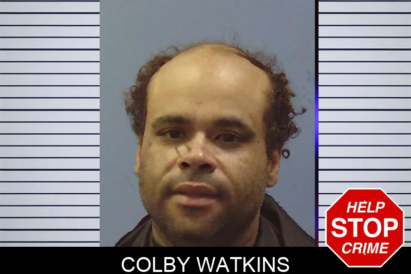 Colby Watkins mugshot
