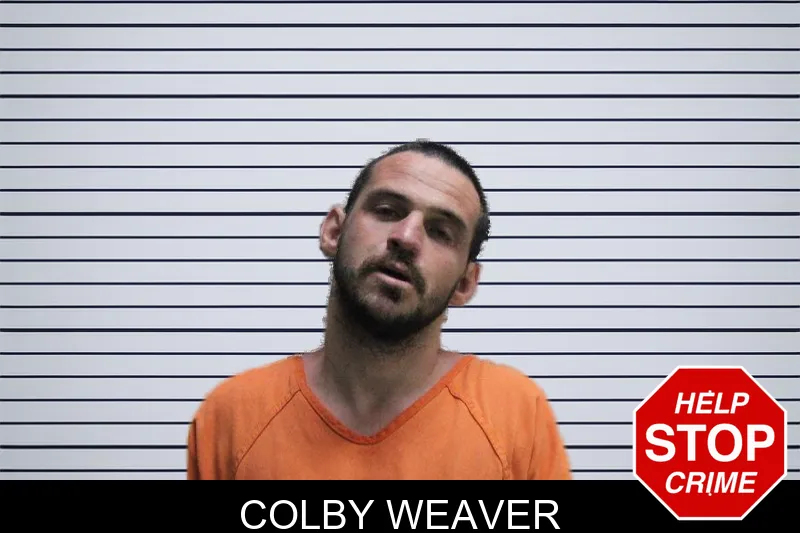 Colby Weaver mugshot
