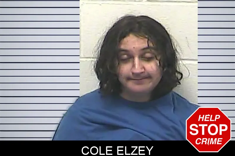 Cole Elzey mugshot