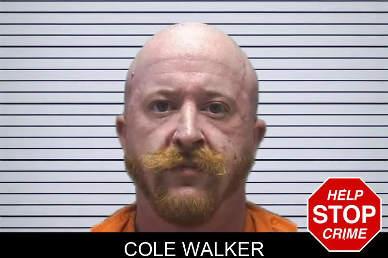 Cole Walker mugshot