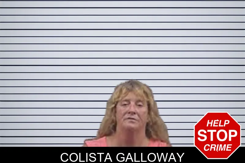 Colista Galloway mugshot