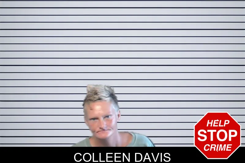 Colleen Davis mugshot – DeKalb County , Georgia Colleen Davis mugshot