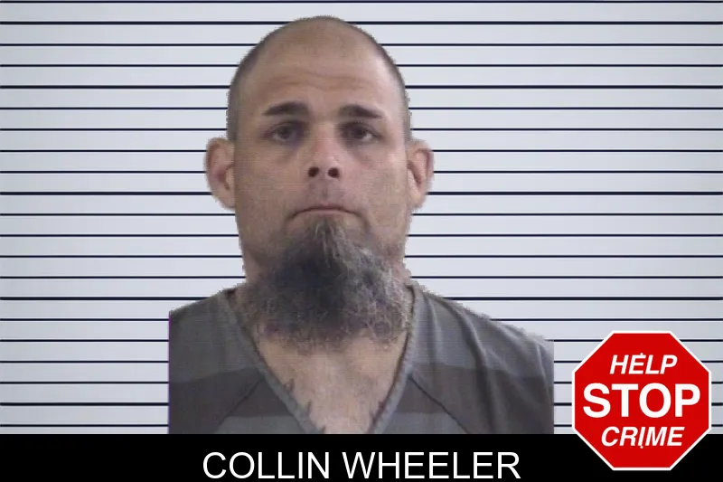 Collin Wheeler mugshot – Whitfield County , Georgia Collin Wheeler mugshot