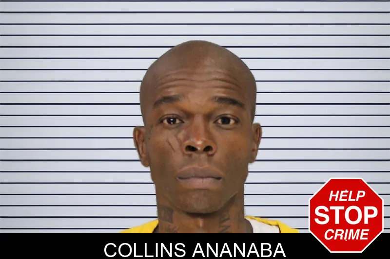 Collins Ananaba mugshot