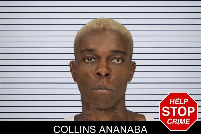Collins Ananaba mugshot – Cobb County , Georgia Collins Ananaba mugshot