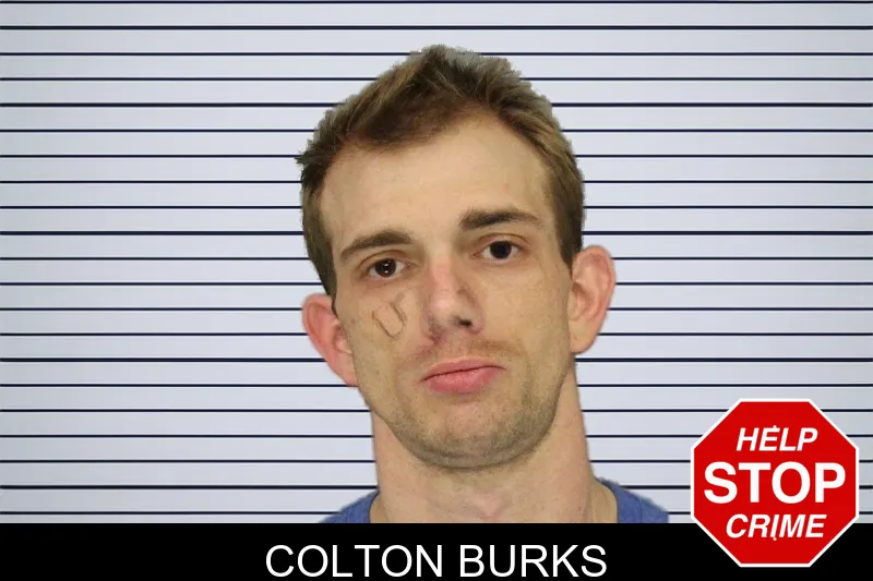 Colton Burks mugshot