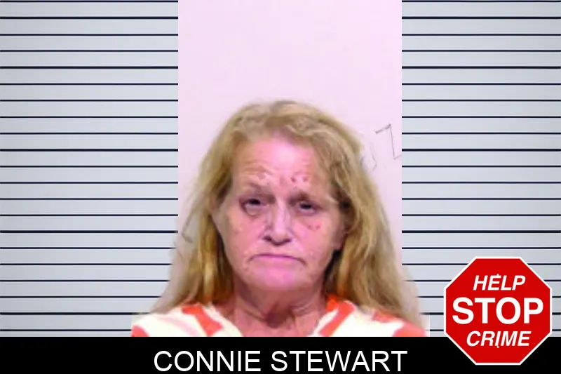 Connie Stewart mugshot
