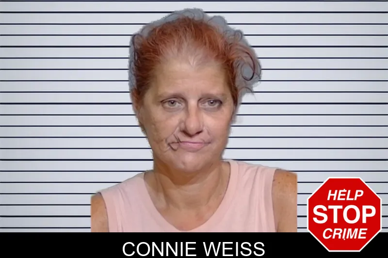 Connie Weiss mugshot – Glynn County , Georgia Connie Weiss mugshot
