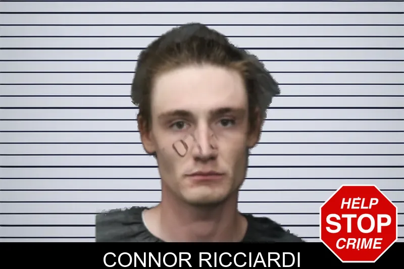 Connor Ricciardi mugshot