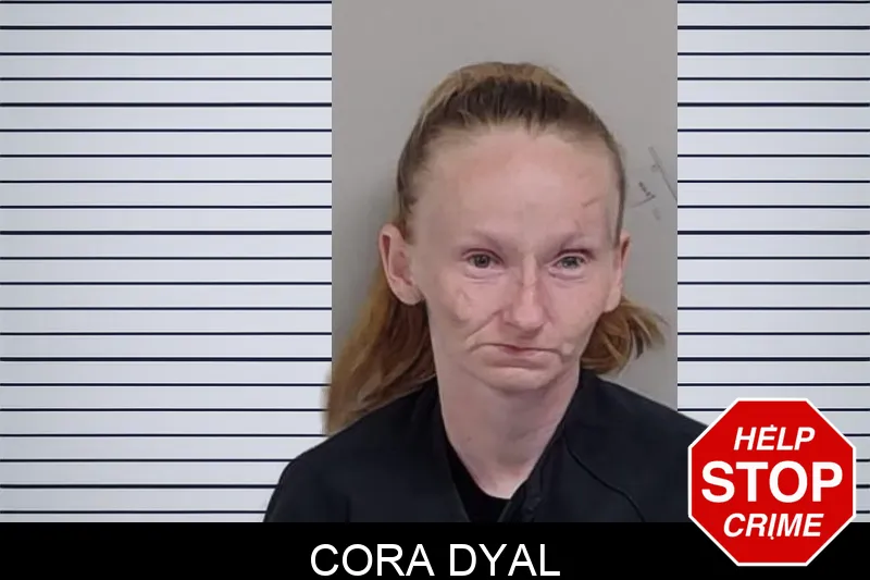 Cora Dyal mugshot – Lowndes County , Georgia Cora Dyal mugshot