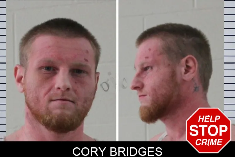 Cory Bridges mugshot
