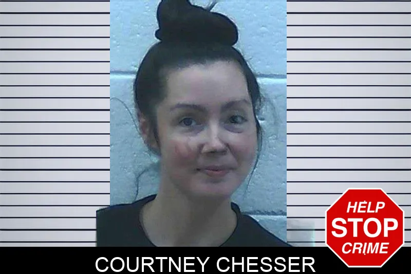 Courtney Chesser mugshot – Jackson County , Georgia Courtney Chesser mugshot