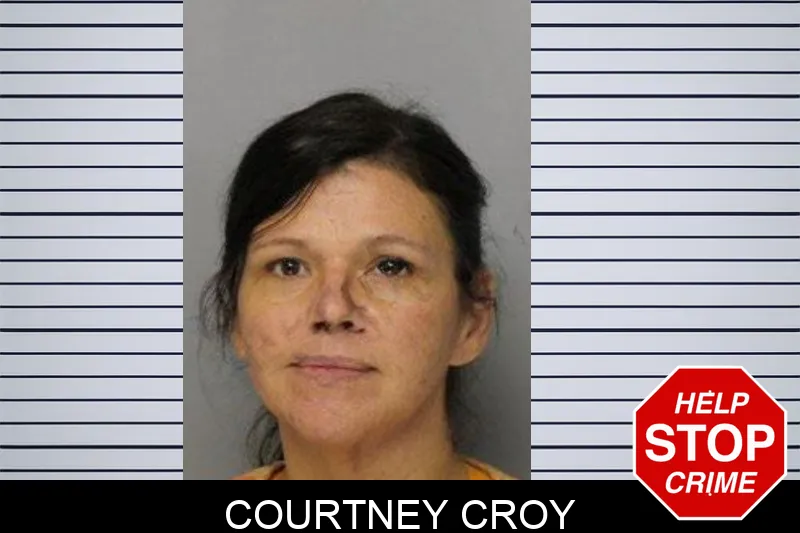 Courtney Croy mugshot – Hall County , Georgia Courtney Croy mugshot