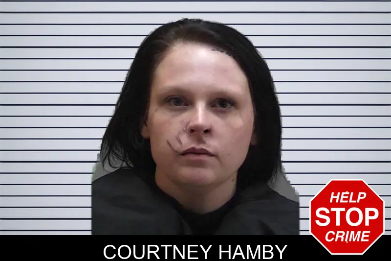Courtney Hamby mugshot