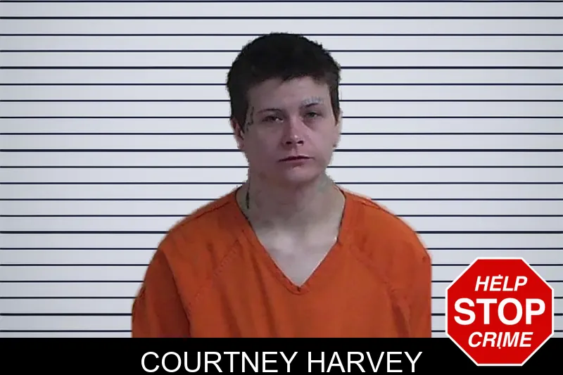 Courtney Harvey mugshot
