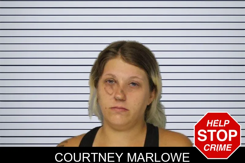 Courtney Marlowe mugshot