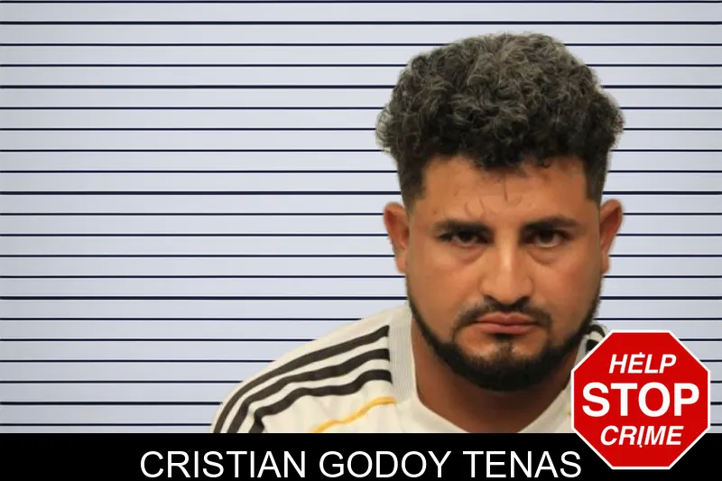 Cristian Godoy Tenas mugshot – Chatham County , Georgia Cristian Godoy Tenas mugshot
