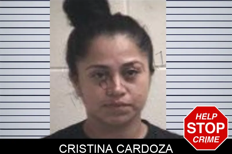 Cristina Cardoza mugshot – Henry County , Georgia Cristina Cardoza mugshot