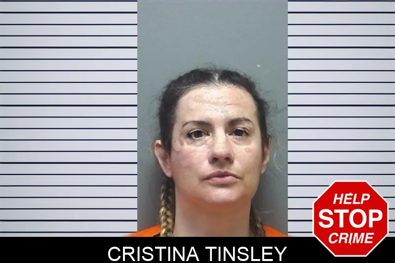 Cristina Tinsley mugshot