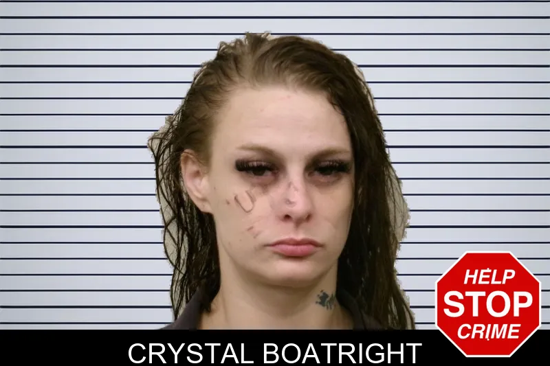 Crystal Boatright mugshot – Bulloch County , Georgia Crystal Boatright mugshot