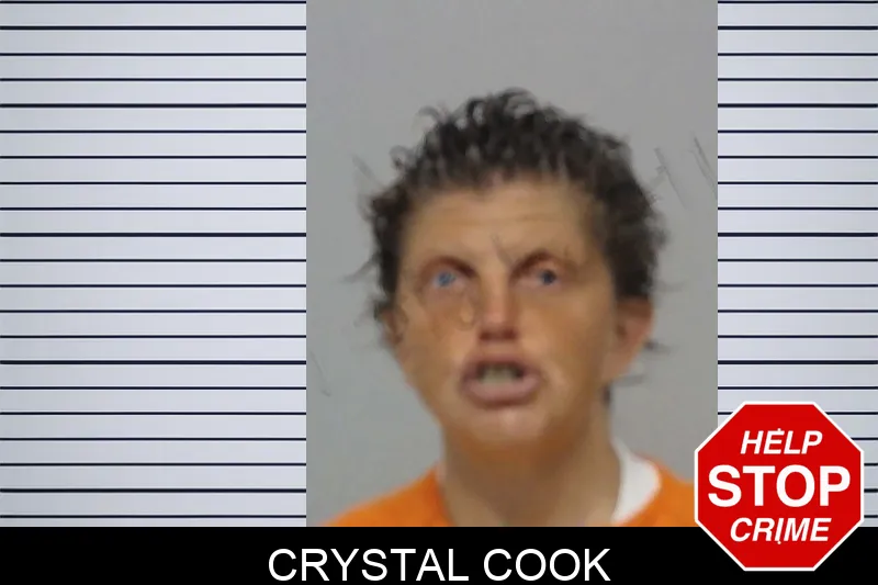 Crystal Cook mugshot