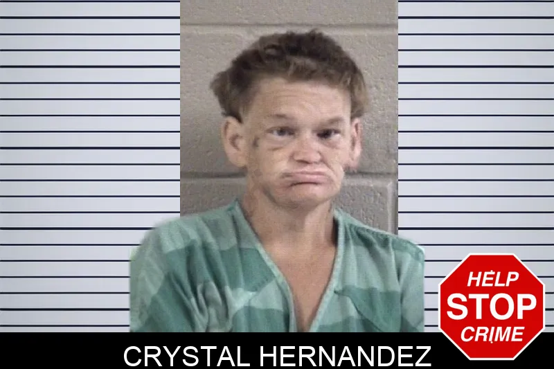Crystal Hernandez mugshot – Whitfield County , Georgia Crystal Hernandez mugshot