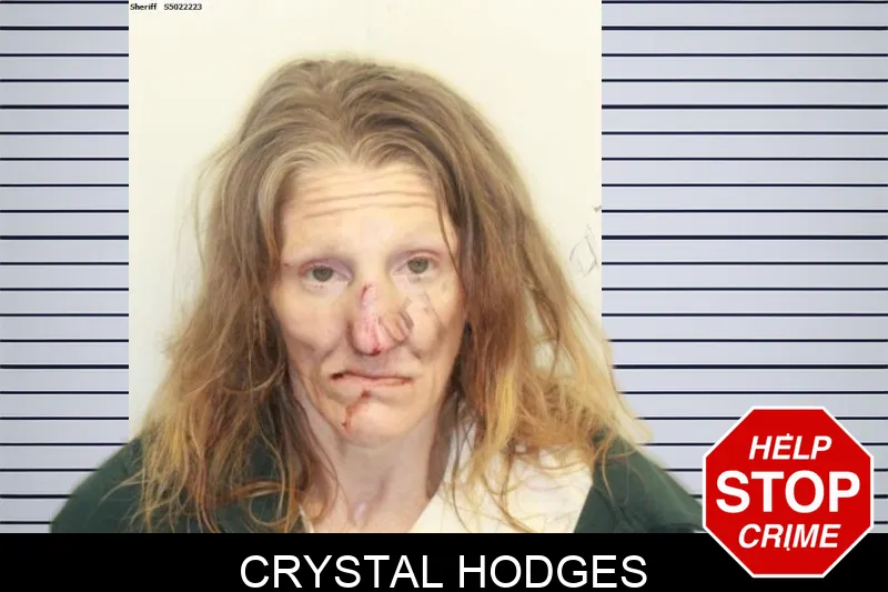 Crystal Hodges mugshot