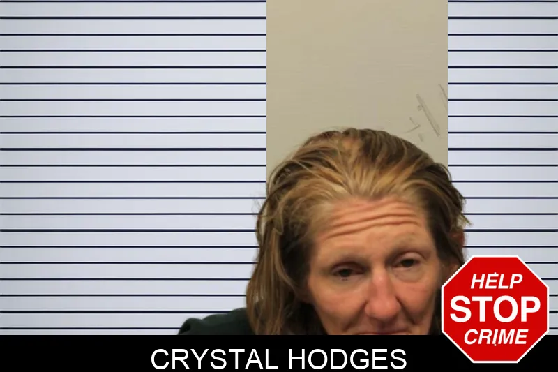 Crystal Hodges mugshot