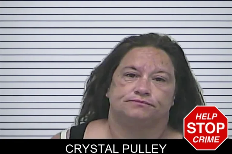 Crystal Pulley