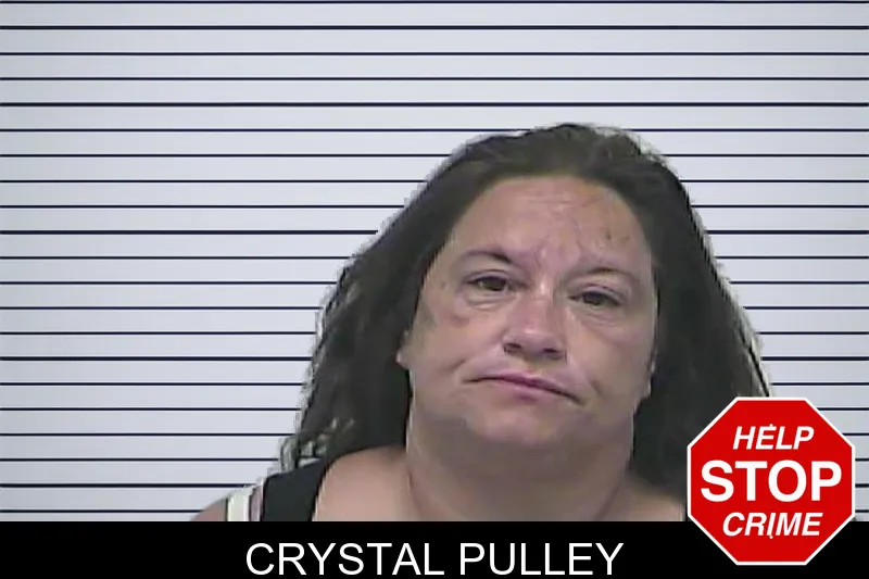 Crystal Pulley mugshot