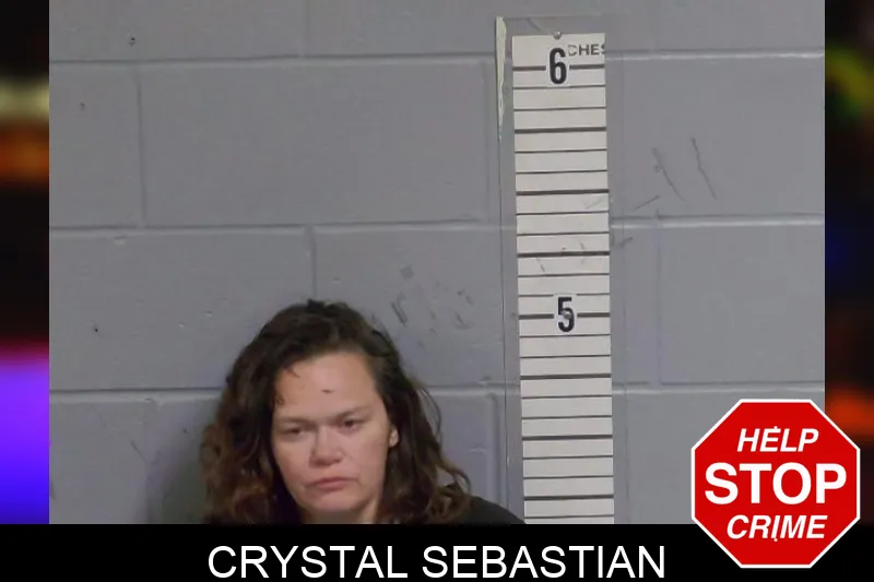 Crystal Sebastian mugshot