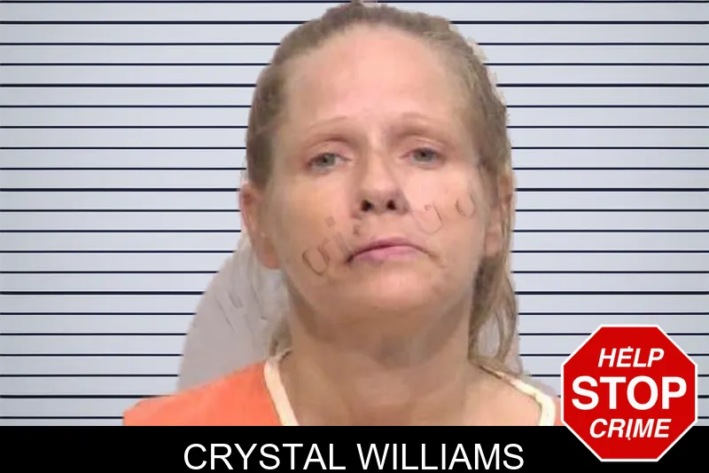 Crystal Williams mugshot – Bartow County , Georgia Crystal Williams mugshot