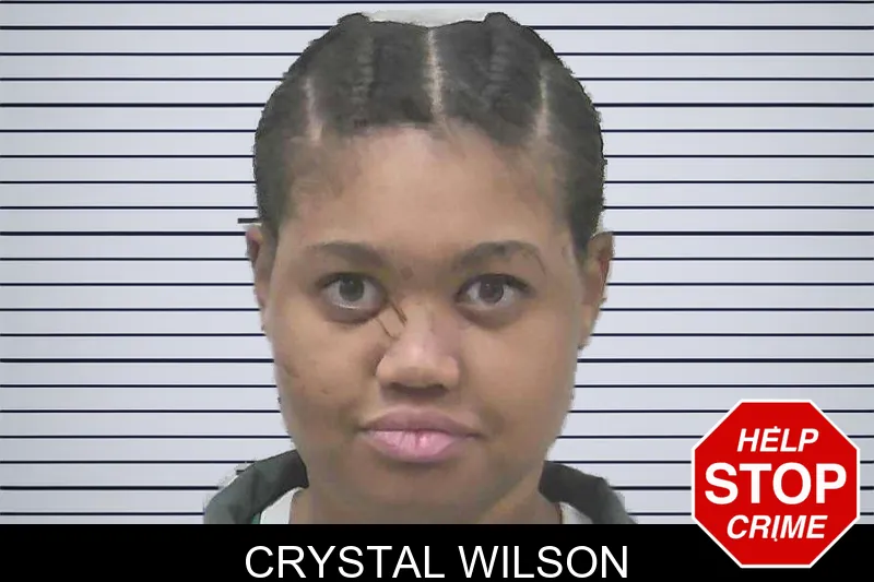 Crystal Wilson mugshot – Colquitt County , Georgia Crystal Wilson mugshot