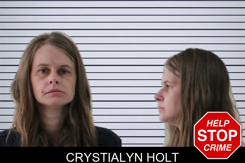 Crystialyn Holt mugshot
