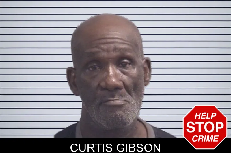 Curtis Gibson mugshot