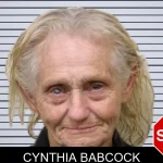 Cynthia Babcock mugshot – Bulloch County , Georgia Cynthia Babcock mugshot
