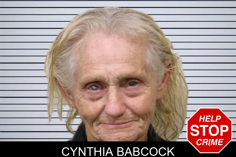 Cynthia Babcock mugshot – Bulloch County , Georgia Cynthia Babcock mugshot